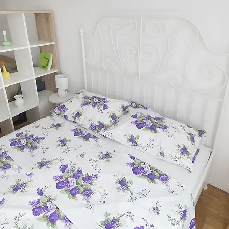 公寓 Apartman Centar 巴尼西卢卡