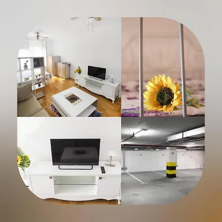 Apartman Centar *